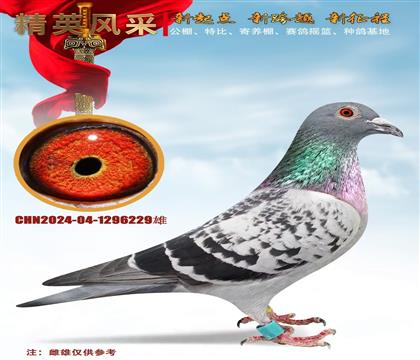 S۽Ȧ500վِ411