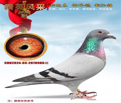 ҽHѪ