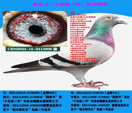 (多關(guān)賽首推)桑杰士“小電腦二號”直系