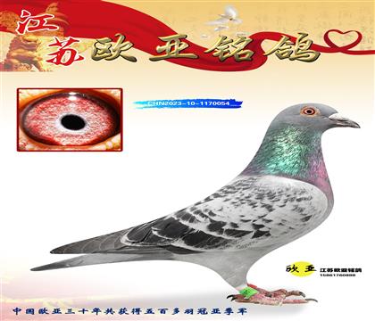 ղɭԭṫ̖131xعϰ427x520H