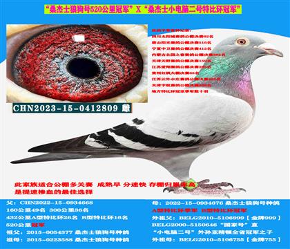 (山區(qū)地形 吃苦耐勞)桑杰士雙冠軍作出