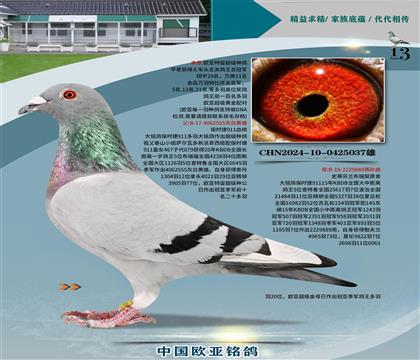 r911Ѫy(tng)555xĸ899