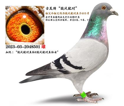 ءL(fng)䌦HN