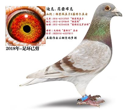 ǲˡֱӡXؠֱŮ