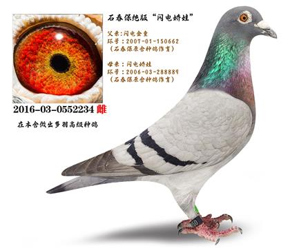 ׷NơʯW늋ޡɣʿ