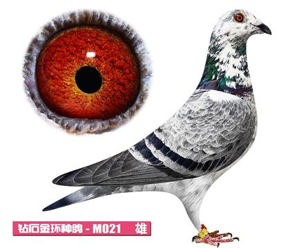 噶斯頓-魅影先生M021