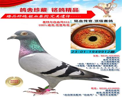 迪克范登布克 基特爾自由號(hào)912