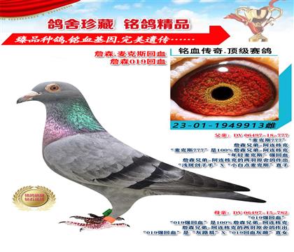 詹森.麥克斯回血 詹森019回血 913