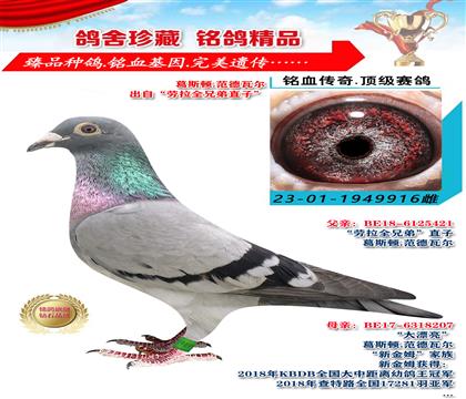 葛斯頓.范德瓦爾 出自“勞拉全兄弟直子” 916
