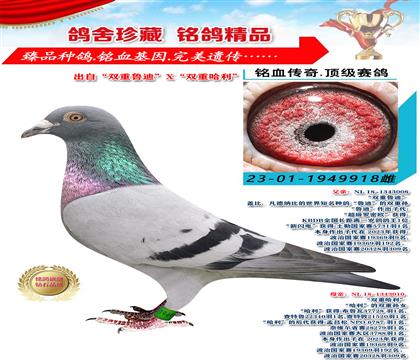 “雙重魯?shù)稀盭“雙重哈利” 918