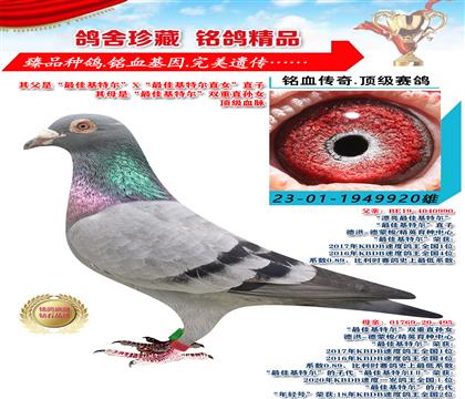“最佳基特爾”x“最佳基特爾直女” 920