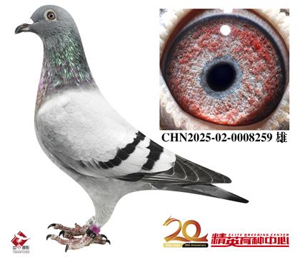 240HֱO
