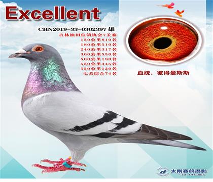 γɿ