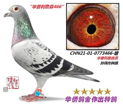 3̖--A0773466-\c-