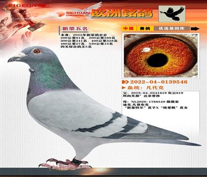 4-鴿王無名-凡代克X基特爾