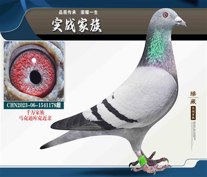 開(kāi)爾贏得千萬(wàn)家族 跟著千萬(wàn)贏百萬(wàn)