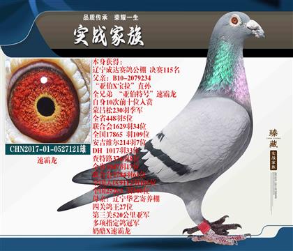 截至目前飛到第六代的速霸龍