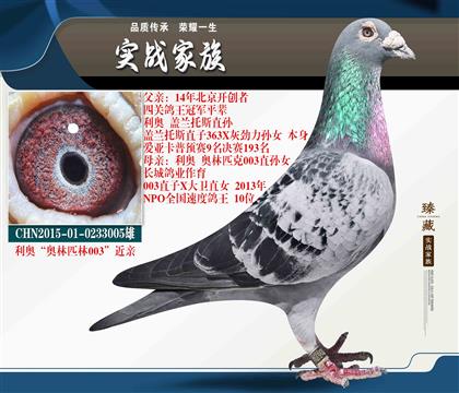“利奧003” 鎮(zhèn)棚級(jí)種雄