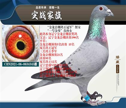 重點(diǎn)推薦 公棚實(shí)戰(zhàn)贏錢(qián)系