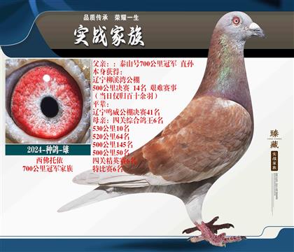 冠軍締造者 西佛托依“泰山”