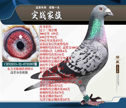 鋼鐵利摩日 高輩分鼻祖級(jí) 送指定配對(duì)