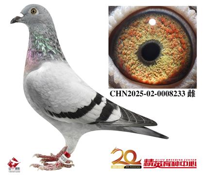 .Ӣ˹94-178OŮ
