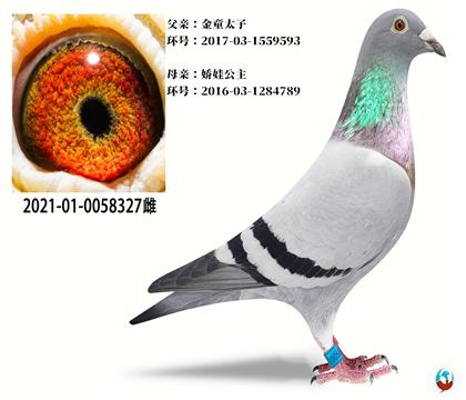 ʯɣʿW늋ޡXӡH