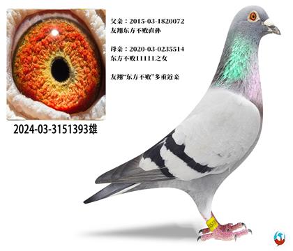 衰|ֱOX|OŮ1111