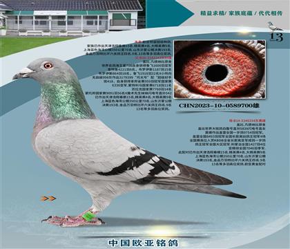 wԭả143x334WS䌦