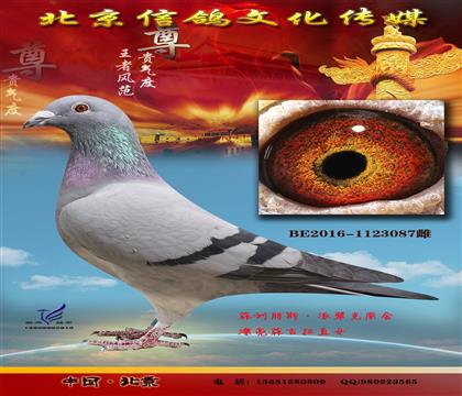 菲利朋斯派翠克原舍