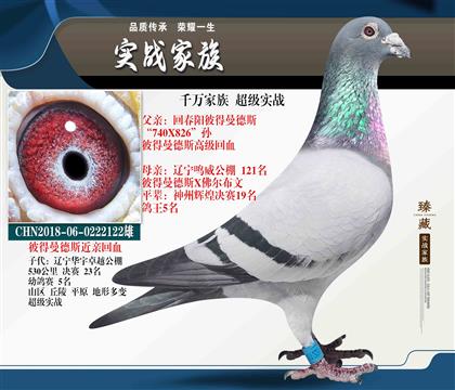超級(jí)彼得曼德斯“740”