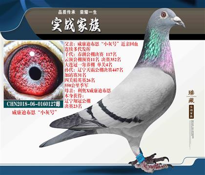 威廉迪布恩“小灰號(hào)”