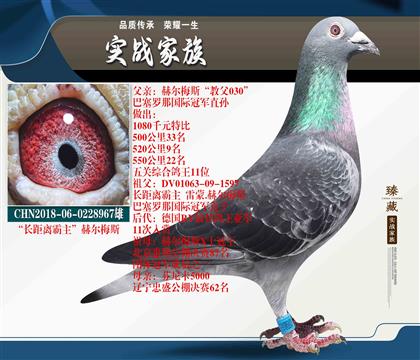 赫爾梅斯巴塞羅那國(guó)際冠軍家族