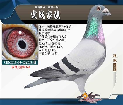 決賽非常容易出現(xiàn)兩位數(shù) 回春陽(yáng)彼得曼德斯740 孫代