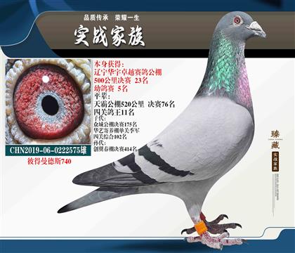 開(kāi)爾連年高位佼佼者 彼得曼德斯