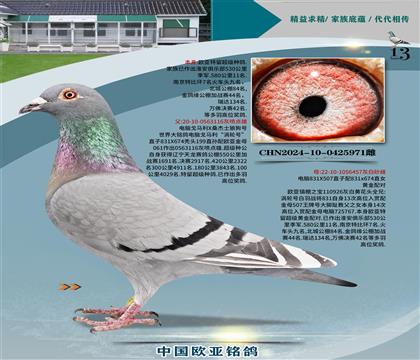 XRu݆̖xĸ457