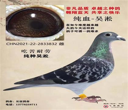 吳淞