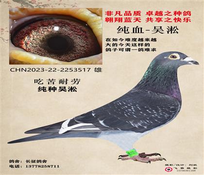 吳淞