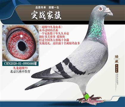 凡龍“超級(jí)73” 666