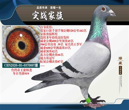 臺(tái)灣帝王康炳堯 冬日男孩919