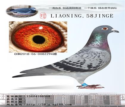 ϡi ɿ2294