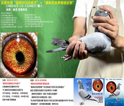 ؠ006ֱӡWƥ_H