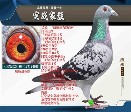 “巨炮”威廉迪布恩-精英配對(duì)