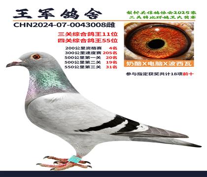 三關(guān)綜合鴿王11名.四關(guān)綜合鴿王55位
