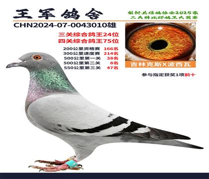 三關(guān)綜合鴿王24位.四關(guān)綜合鴿王75位