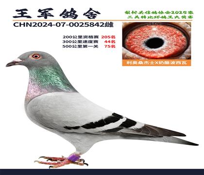 300公里速度賽44名.500公里第一關(guān)75名