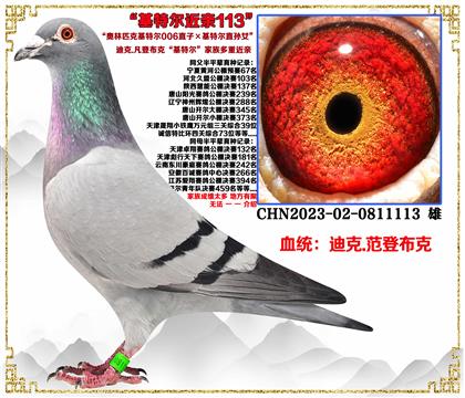 (c]ǲˡؠ006ֱӡؠֱOŮѪ