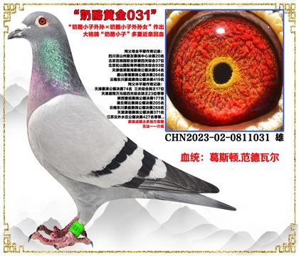 c]˹D.ߠСOСOŮ