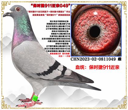 r911ȫֱӡȫֱֵŮH