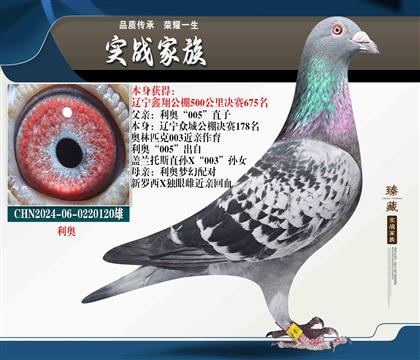 利奧新羅西